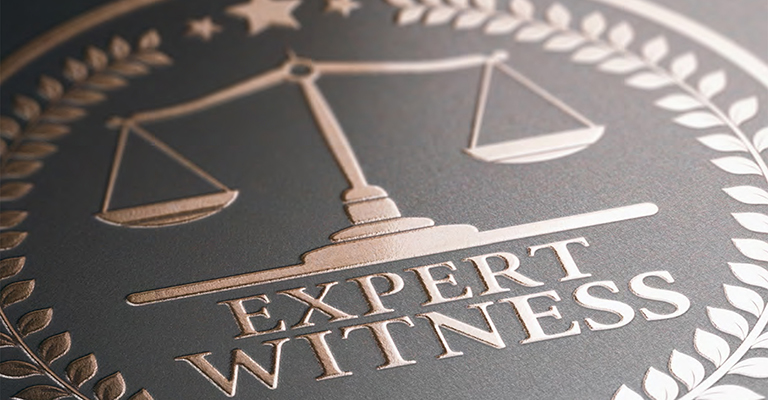 Metallic seal with scales of justice and the words “Expert Witness”