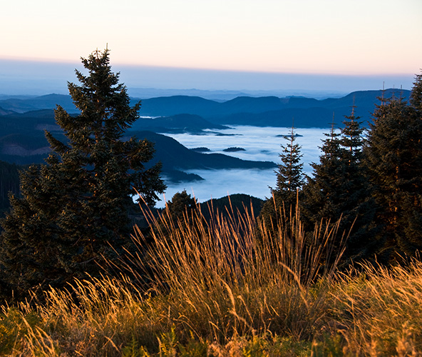 Sunrise over Willamette Valley, Oregon featuring vibrant colors, rolling hills, and Mount Hood in the distance