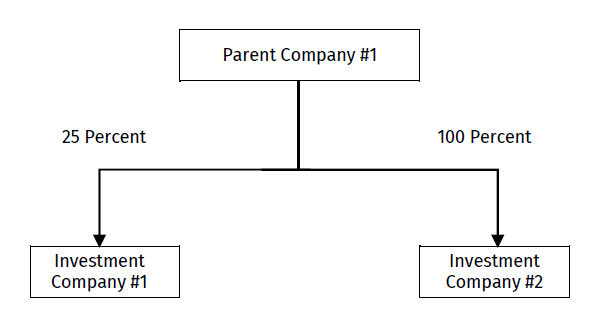 Sample organizational chart illustrating simplified multilevel entity structure